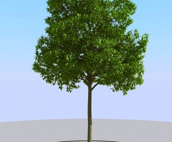 Modern Tree-ID:839001895