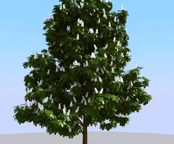 Modern Tree-ID:793541912