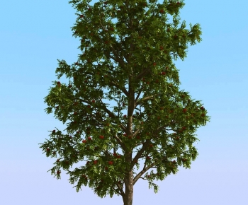 Modern Tree-ID:673887979