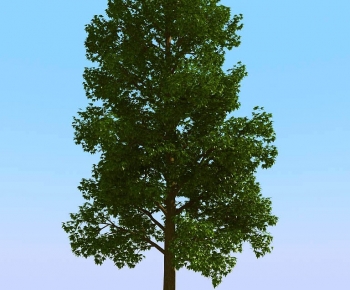 Modern Tree-ID:141426094