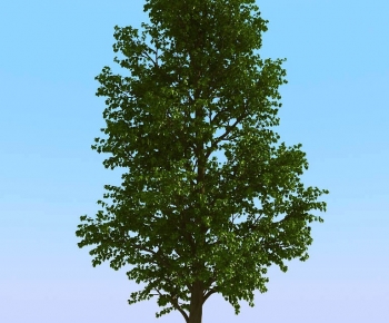 Modern Tree-ID:940508811