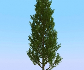 Modern Tree-ID:405359983