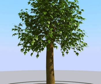 Modern Tree-ID:625916002