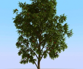 Modern Tree-ID:969711073