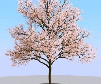 Modern Tree-ID:386309624