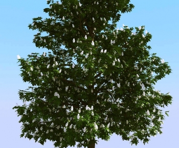 Modern Tree-ID:892527107