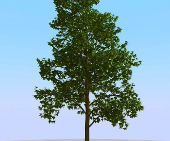 Modern Tree-ID:318684102