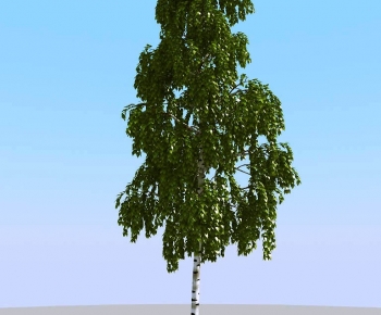 Modern Tree-ID:599989982