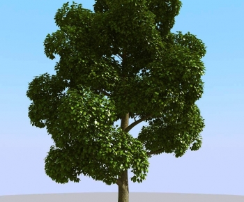 Modern Tree-ID:843524939