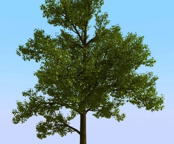 Modern Tree-ID:944396023