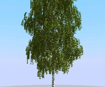 Modern Tree-ID:656020687