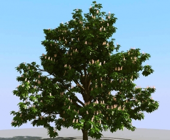 Modern Tree-ID:530791042