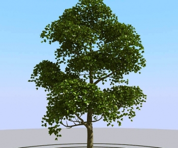 Modern Tree-ID:401657108