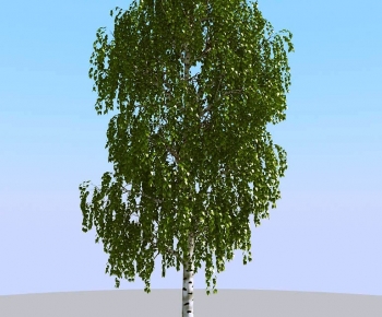 Modern Tree-ID:555583006