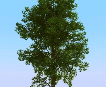 Modern Tree-ID:228729253