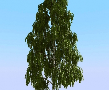 Modern Tree-ID:221956019