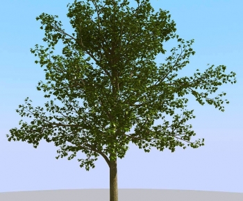 Modern Tree-ID:295190886