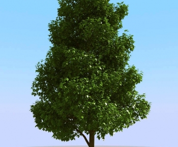 Modern Tree-ID:342724082