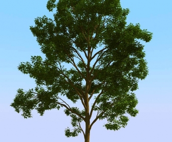 Modern Tree-ID:460433961