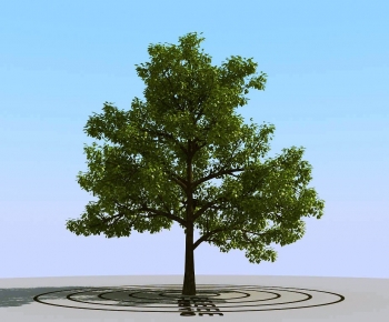 Modern Tree-ID:202166085