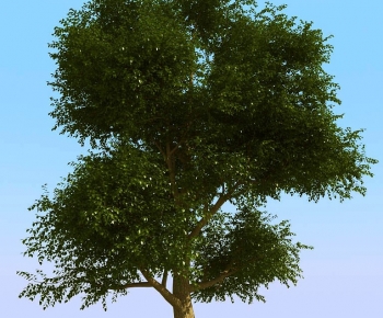 Modern Tree-ID:688808926