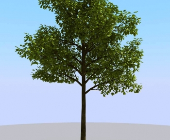 Modern Tree-ID:687980892