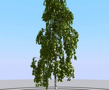 Modern Tree-ID:680587052