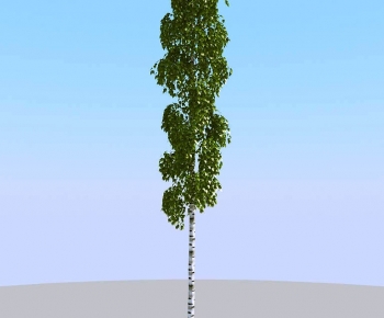 Modern Tree-ID:369735964