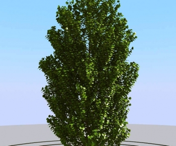 Modern Tree-ID:636626017