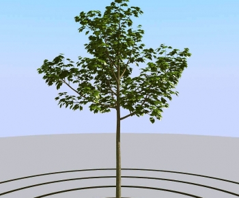 Modern Tree-ID:985506067