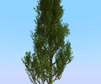 Modern Tree-ID:122293002