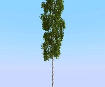 Modern Tree-ID:309701922