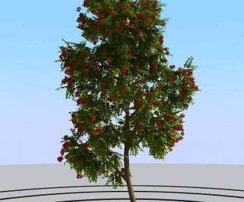 Modern Tree-ID:138791084