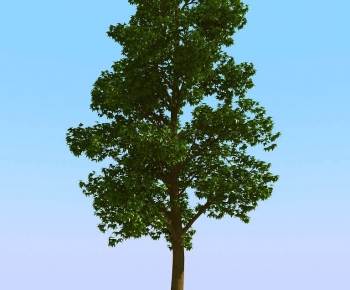 Modern Tree-ID:894196995