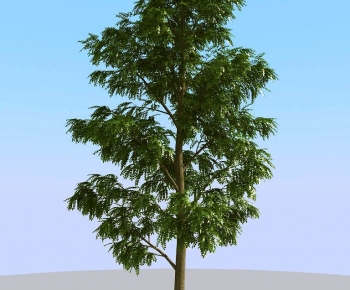 Modern Tree-ID:585073959