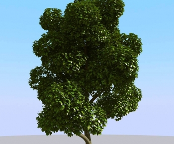 Modern Tree-ID:140657906