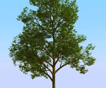 Modern Tree-ID:744059099