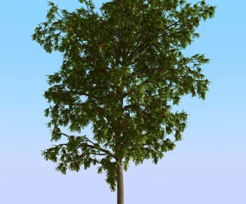 Modern Tree-ID:371786123