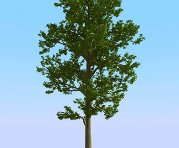 Modern Tree-ID:929917103