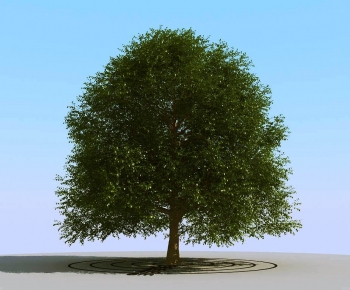 Modern Tree-ID:660099032