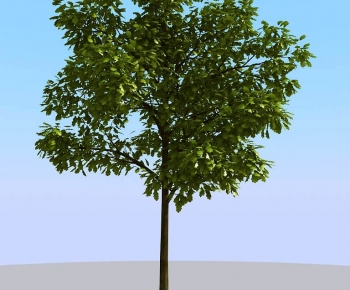 Modern Tree-ID:818375111