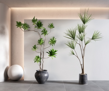 Modern Potted Green Plant-ID:298790926