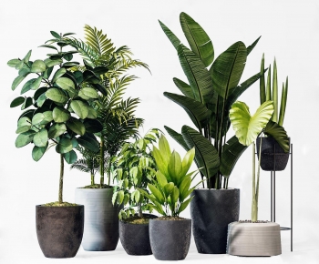 Modern Potted Green Plant-ID:602664956