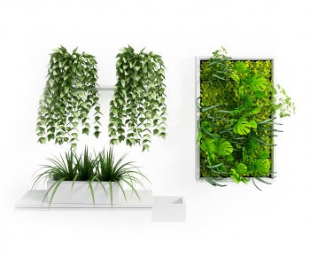 现代植物墙-ID:657450915
