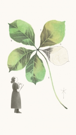 ModernBotanical Painting