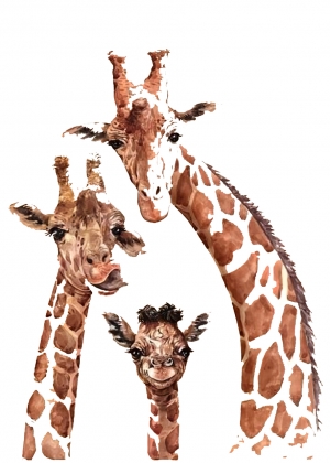 现代动物装饰画挂画长颈鹿-ID:572014095