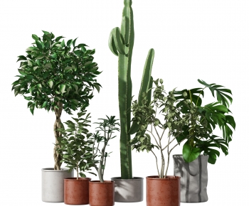 Modern Potted Green Plant-ID:787935028