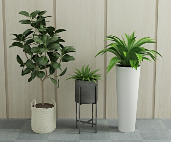 Modern Potted Green Plant-ID:534322982