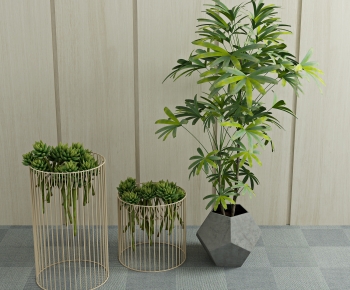 Modern Potted Green Plant-ID:578015099