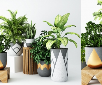 Modern Potted Green Plant-ID:276849033